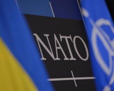 НАТО поможет Украине только советами