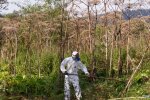 Конкурс на самый уродливый в мире газон / фото