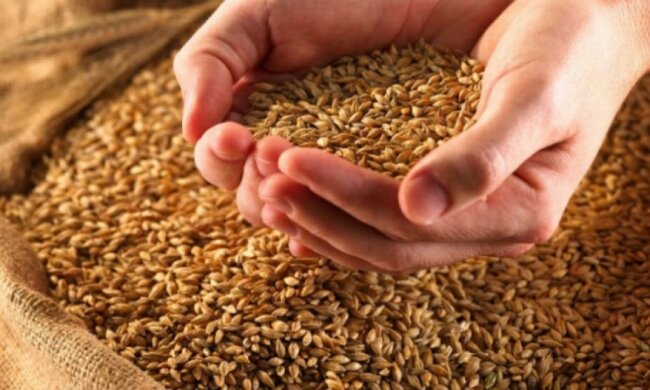 1 млн тонн зерна намолотили на Донеччині