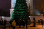 Головна ялинка країни-2026, Софіївська площа, фото: Знай.ua