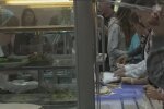 Шкільна їдальня, кадр з відео