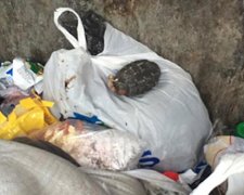 Біля будинку у Дніпропетровську знайшли вибухівку (фото)