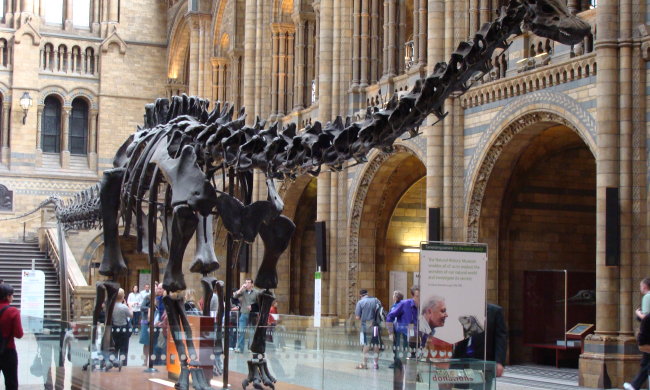 Кістяк динозавра