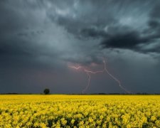 Новая неделя начнется с ливней и гроз