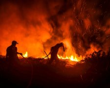 "Легені планети" палають пекельним вогнем: життя людства зміниться назавжди, зворотній відлік пішов