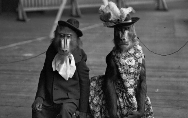 Поражают воображение: уникальные снимки цирка начала XX века