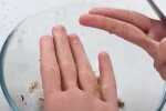 Молода картопля. Фото: Youtube