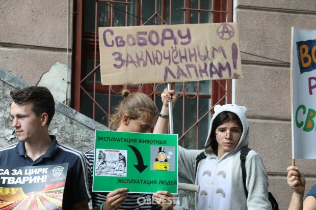 Українські активісти закриють Одеський цирк назавжди: "Експлуатація і тортури тварин заради розваг"