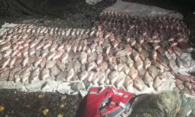 незаконный лов рыбы