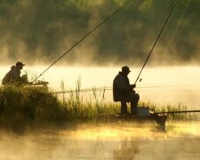 Німі, але не бездушні: вчені розвінчали міф рибалок