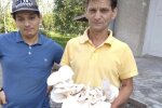 В доме пожилых людей выращивают шампиньоны, фото с Фейсбук