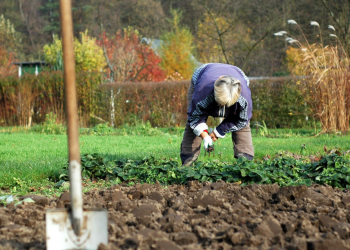 Город, зображення з вільних джерел