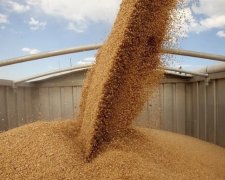 Україна продала зерна на $6 млрд