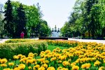 Погода в Україні, фото: newch.tv