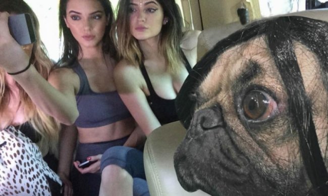 У пародіях на Кім Кардашьян знявся мопс