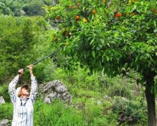Азіатська експансія та напівпустелі: як в Україні зміниться клімат