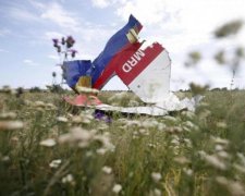 Катастрофа МН17: Нідерланди прийняли доленосне рішення