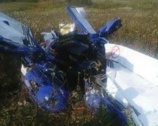 Падение самолета на Львовщине: погиб известный программист