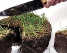 Львівські бійці АТО отримають гроші замість землі