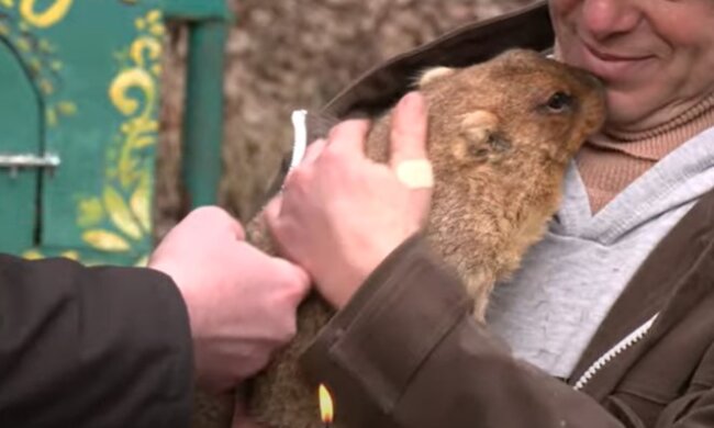 Бабак Тимко. Фото скріншот Youtube