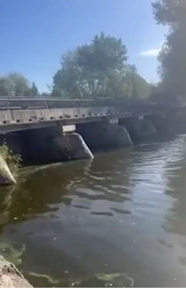 Мужик маринует тухлые огурцы в дождевой воде и становится миллионером