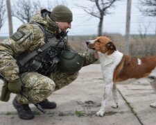 Собака на службі, прес-служба ООС