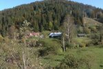 Життя гірських сіл Прикарпаття показали на прикладі колоди - замість мосту