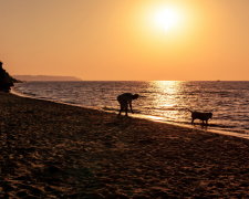 Море бушує, люди налякані: популярний український курорт здригнувся від потужного землетрусу