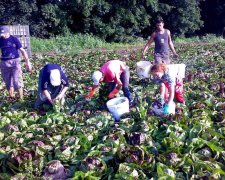 Заробітчани пакують валізи, Польща - в паніці: знайшовся новий "рай"