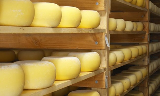 До окупованого Криму росіяни не пустили український сир