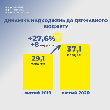 Інфографіка Державної податкової служби