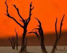Неймовірні знімки американського фотографа пам’яток з усього світу (фото)