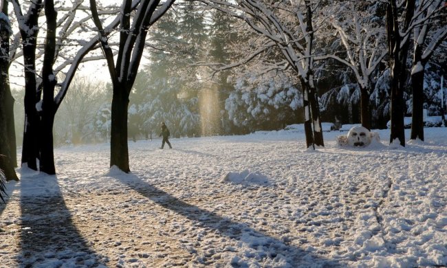 Погода на 17 февраля: весна пришла в Украину, но ненадолго