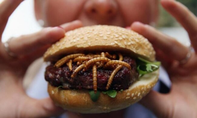 Комахи допоможуть людям врятувати планету