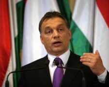 Безпрецедентна зухвалість: Україна готова дати Угорщині по зубах