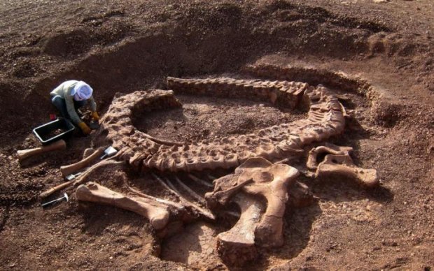 Динозавры размером с небоскреб довели археологов до экстаза 