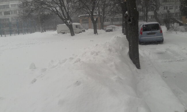 Снегопад, зима - фото Знай.uа