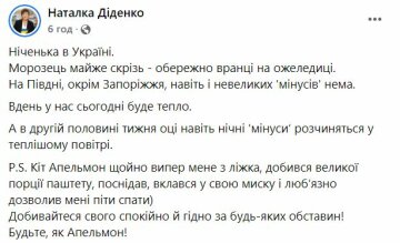 Публікація Наталки Діденко, скріншот: Facebook