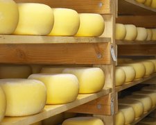 До окупованого Криму росіяни не пустили український сир