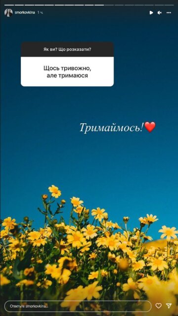 Анна Кошмал, скріншот: Instagram Stories