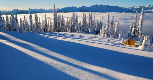 У Канаді на снігу намалювали гігантського ведмедя з пупком в центрі. Таємниця його виникнення нарешті розкрита