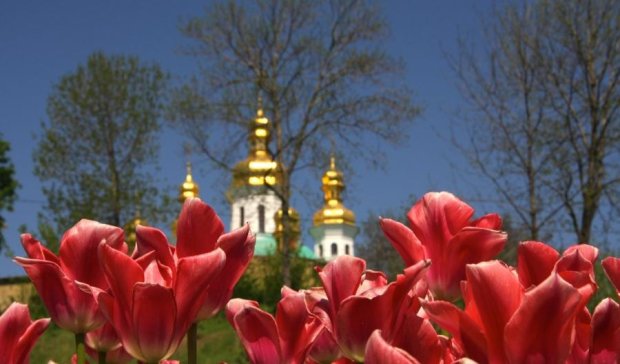 Что посмотреть в Украине весной: обзор красивых мест