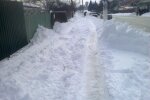 У хмельничан масово крадуть пернатих, навіть свята не завадили: у когось дуже Щедрий вечір