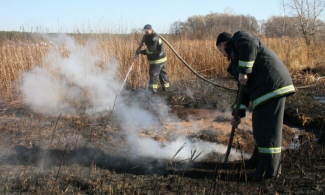 На Чернігівщині спалахнули торфовища