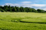 Поле, сільське господарство / фото: Pixabay