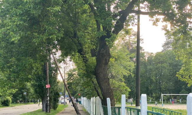 Київ, фото: Знай.ua