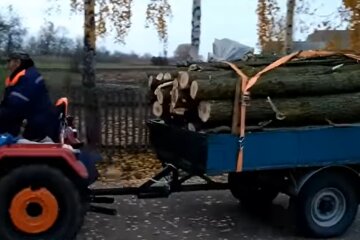 Дрова, скриншот с видео