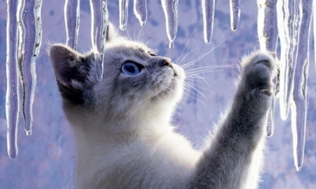 Синоптики розповіли, коли в Україну прийде потепління