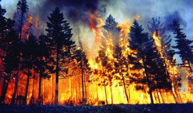 За сутки в Украине произошло 306 пожаров 