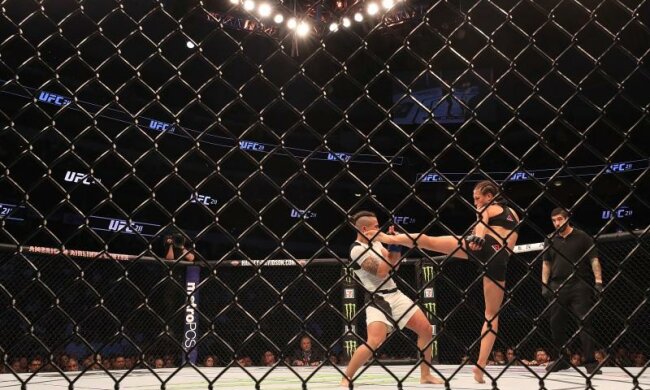Стали известны гонорары бойцов на UFC 211
